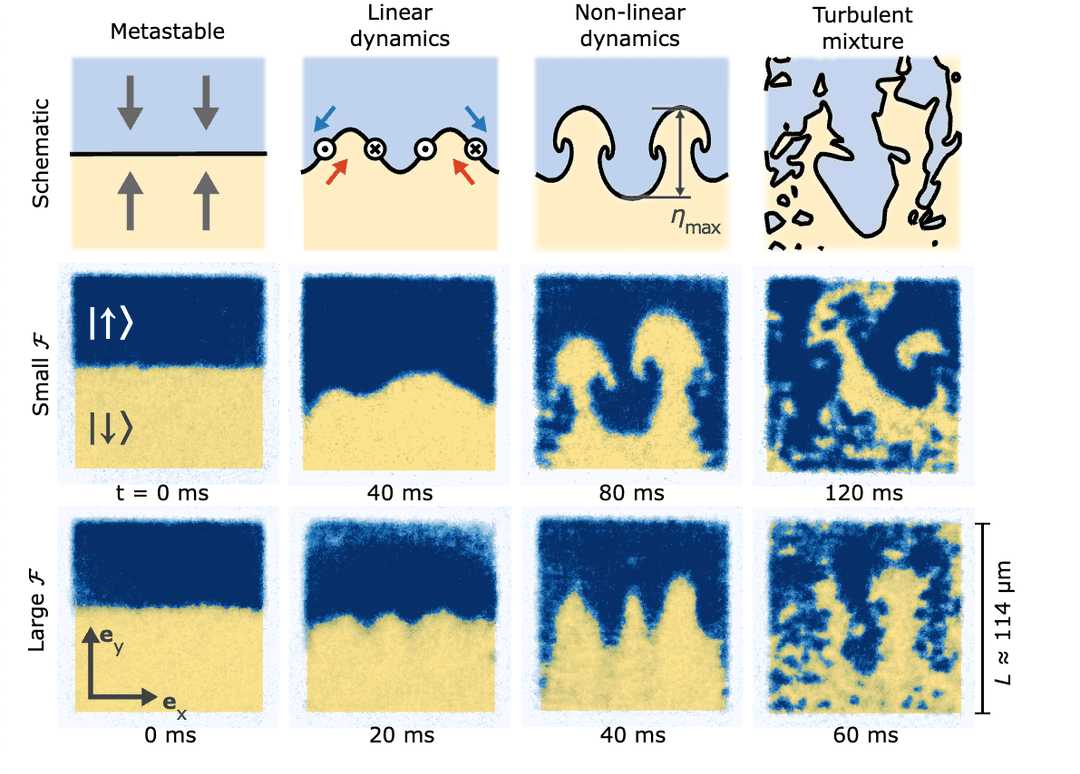 The Rayleigh-Taylor instability in a binary quantum fluid | Institute ...