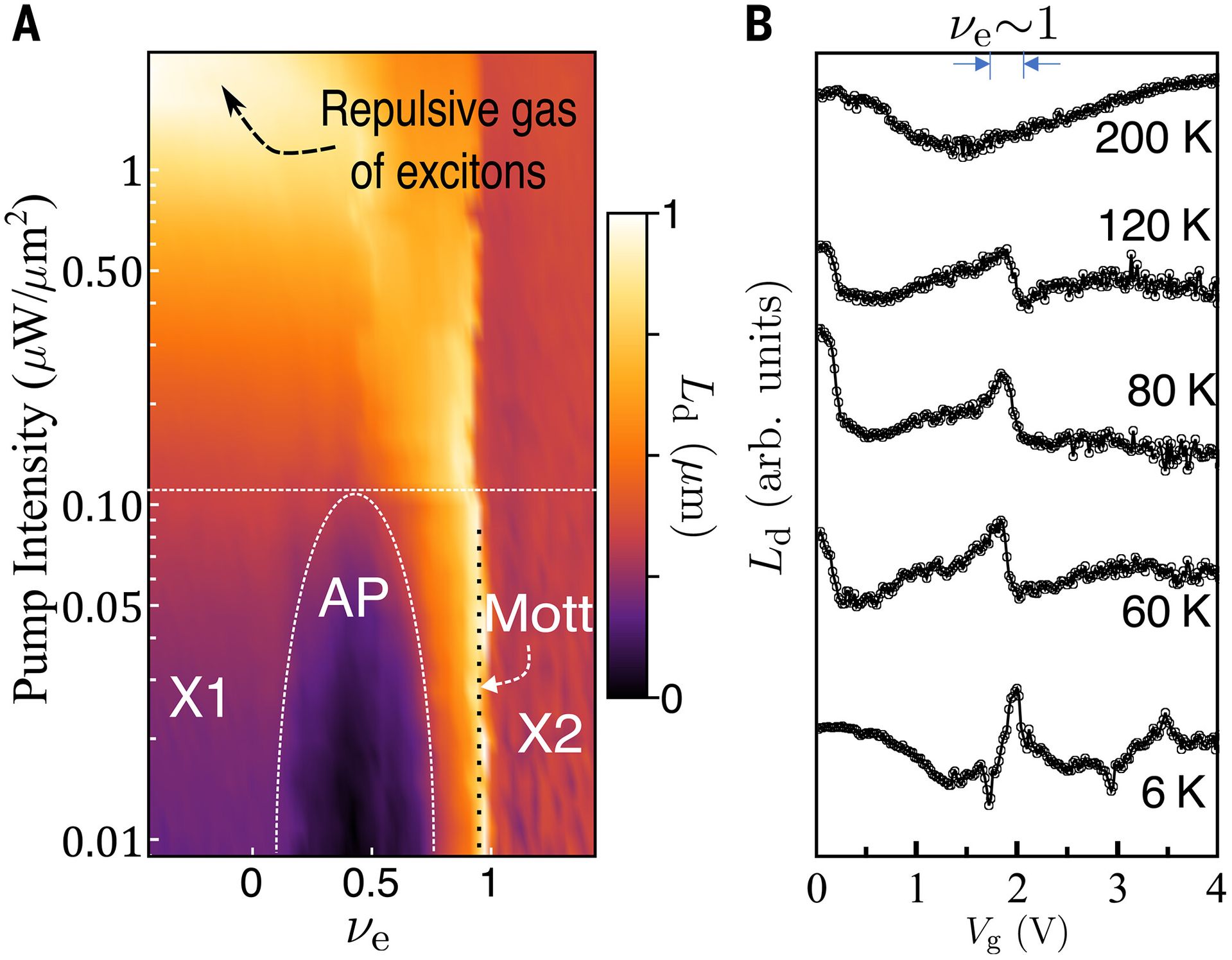 Two graphs. The first shows how diffusion length varies with pump intensity and electron filling. The second shows how diffusion length varies with potential at various temperatures. 